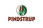Pindstrup